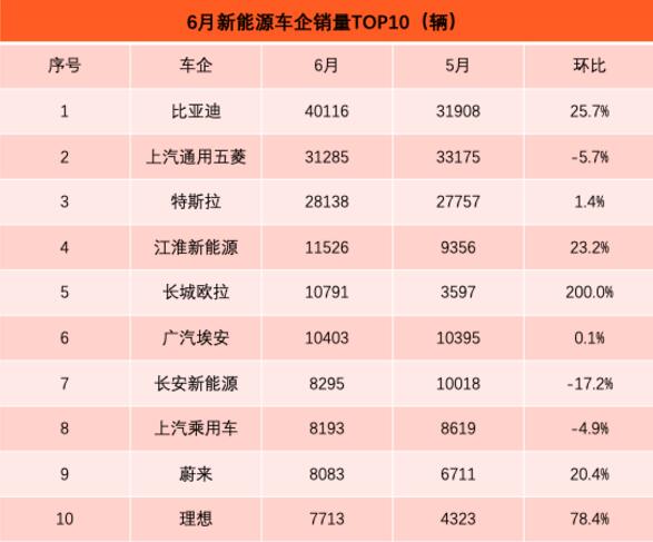 6月新能源车型排行榜：秦PLUS DM-i跻身前五 宋DM首上榜