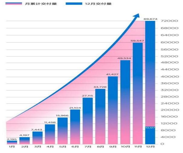 12月国产新能源汽车品牌销量汇总：比亚迪第一