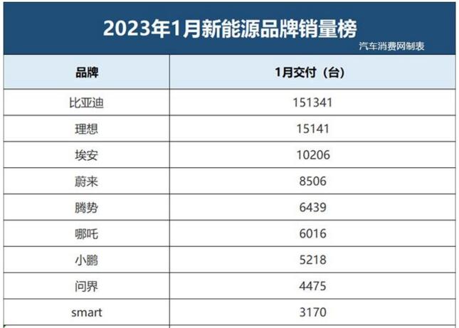 1月新能源汽车品牌销量榜，它果然还是大哥！